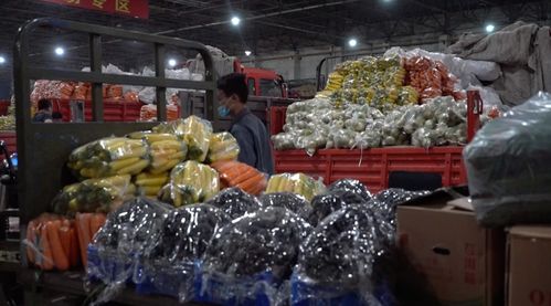 警惕本土新增疫情，全面摸排确保零遗漏——聚焦渔需物资销售环节防控