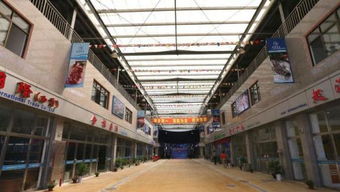 上海渔需物资采购指南 正规市场与线上平台推荐