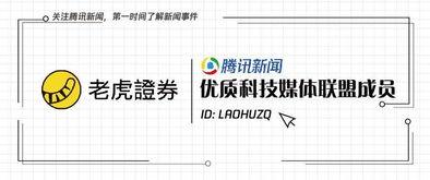 从3年涨10倍到一个月腰斩 芯片巨头AMD的“过山车”之旅与行业反思